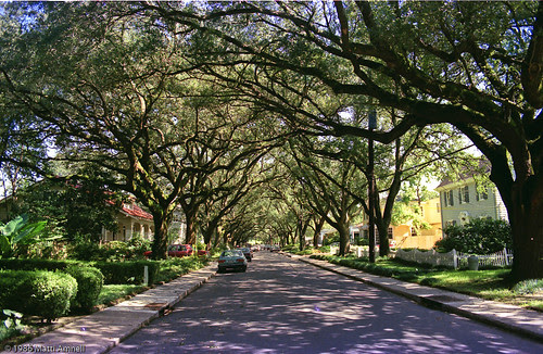 New Orleans, LA_1986_August_140