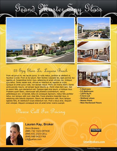 cool real estate flyers. real estate flyers templates.