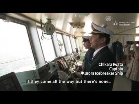 Tourism meltdown, Climate change causes drift ice lost