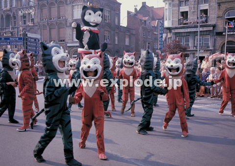 猫祭り ベルギー Ev Jpg 写真素材