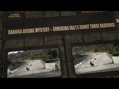Liked on YouTube: Karuma Bridge Mystery – Shocking Facts About Those Baboons!