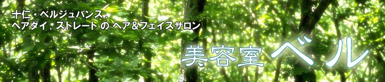 弱酸性美容法 ベルジュバンス で髪の悩みを解決します 美容室ベル