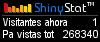 Visitas web