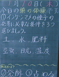 種子の発芽 頭の体操