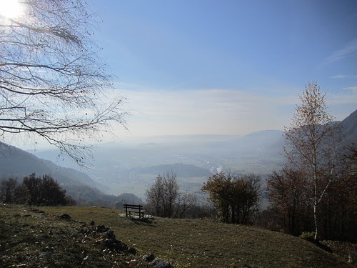 IMG_7428