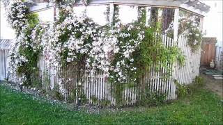 Home and Yard Design Ideas - YouTube