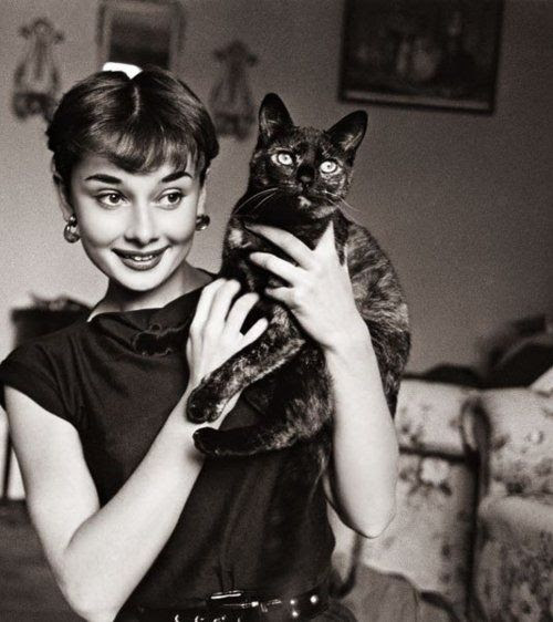 オードリー ヘップバーンと猫 バナナ ヒロシの はーい バナナです
