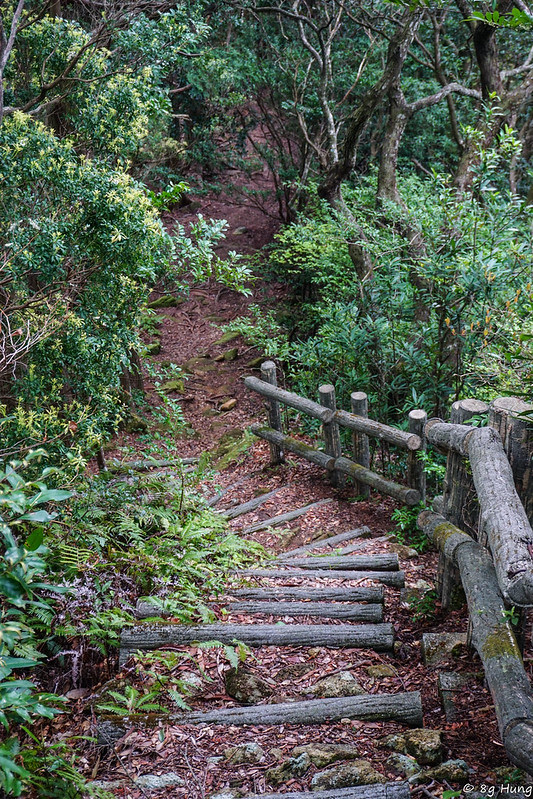 DSC02294