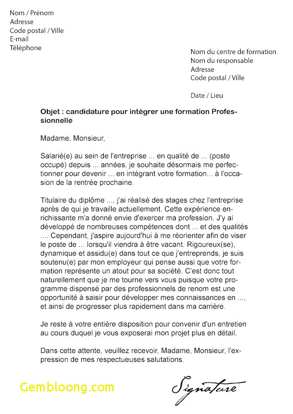 Lettre de motivation pour un poste d'informaticien 
