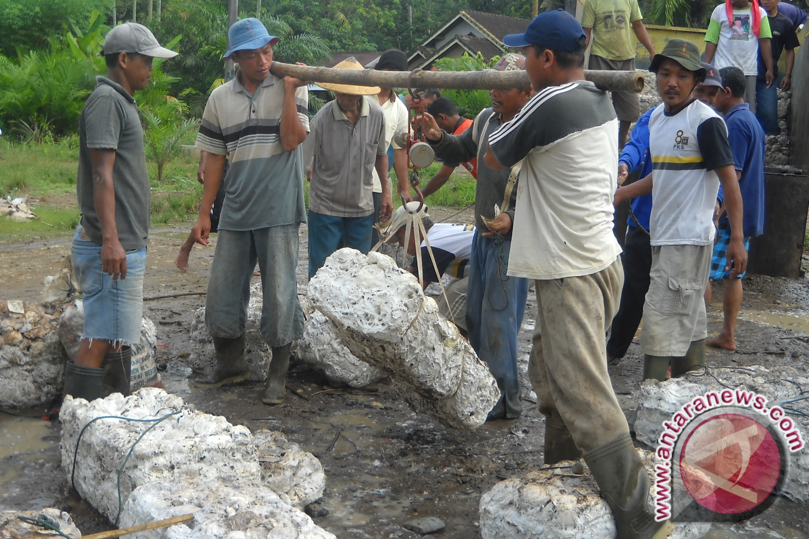 Harga karet petani Sumsel naik - ANTARA News Sumatera ...