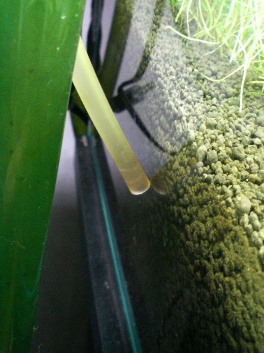 目詰まり マッキーの癒しのお部屋