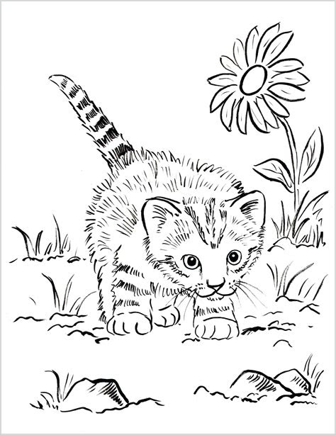 Keep your kids busy doing something fun and creative by printing out free coloring pages. coloring coloring page kitten print kitty cats cat cute coloring home