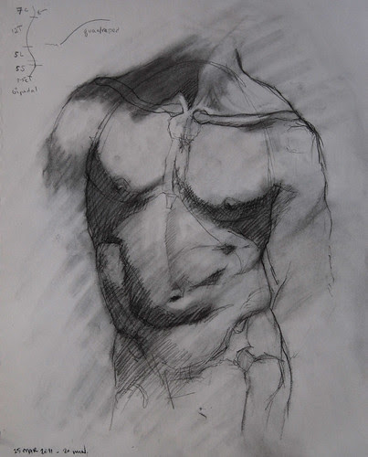 RLiberace Anatomy of Torso wkshop - 1