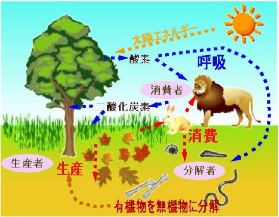 生態系って何