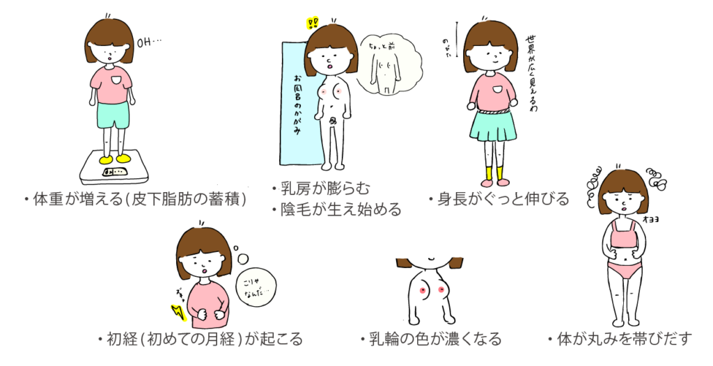 医師監修 思春期女子の体の変化 性 マスターベーション 小学生高学年 中学生 高校生頃 家庭ではじめる性教育サイト命育