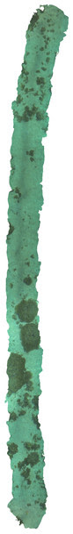 Example of transect produced using GoPro structure from motion. fig-1-1x.jpg