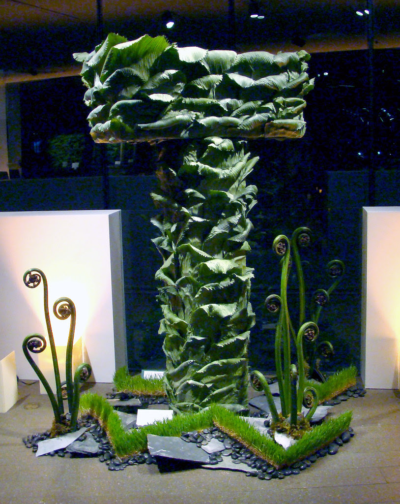 DSC06500_1458 Fiddleheads