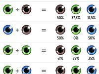 Webfeb 27, 2019 · while the concepts behind eye color charts are generally true, the genetics of how eye colors are inherited turned out to be much more complicated than once believed. 9 best eye color chart genetics ideas eye color chart eye color eye