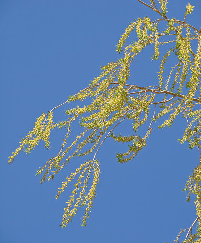DSC02899_2