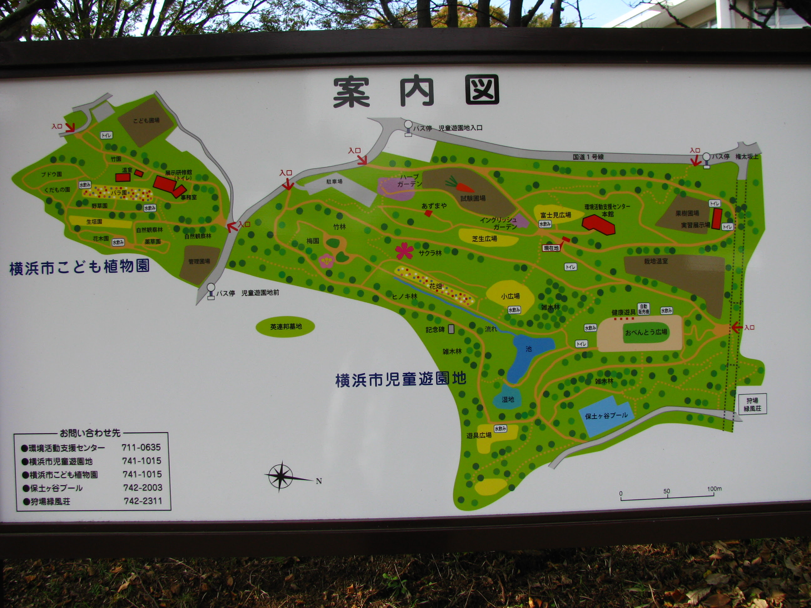 こども植物園バラ園 まちへ 森へ