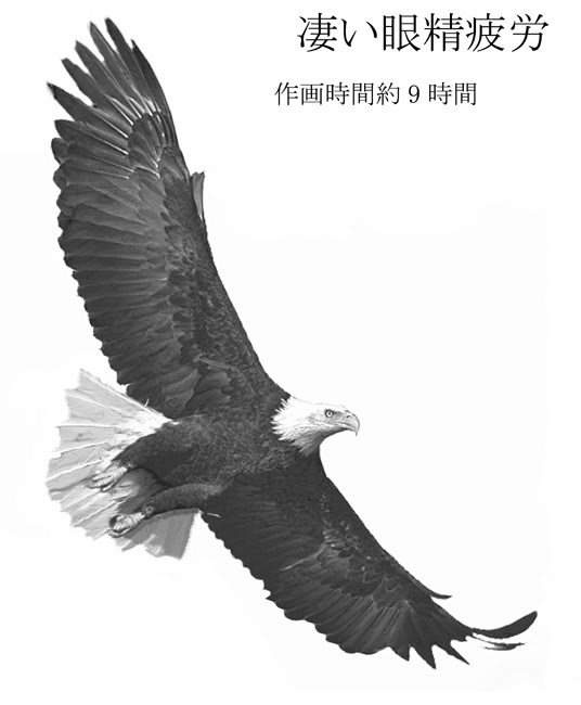 鷲イラスト完成するも引き換えに目がおかしい 汗 日々盛り削り道