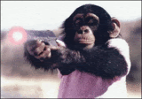 Animated Pictures Comments Pictures