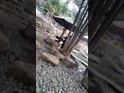 Inilah Wisata purwakarta, terbaru!