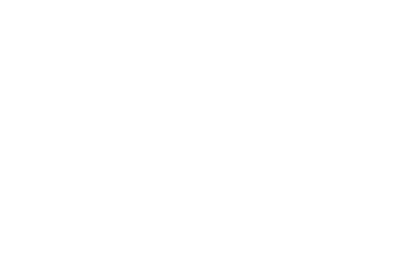 レース楕円 レース素材専門サイト Da Lace ダ レース