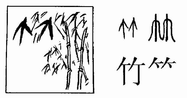 竹字头 万图壁纸网