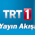 Trt 1 Yayın Akışı Canlı / Trt Radyo 1 Dinle Canli Radyo Dinle Fm / 31 ocak 1968 yılı itibari ile deneme yayınlarına başlayan kanal halen daha ilk ve en eski kanal olarak unvanını korumaktadır.