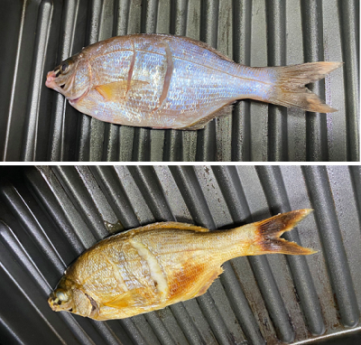 タナゴの塩焼き等 きままにスマイル