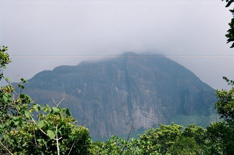 Kerala, TN members clash in RS over Mullaperiyar Dam issue ...