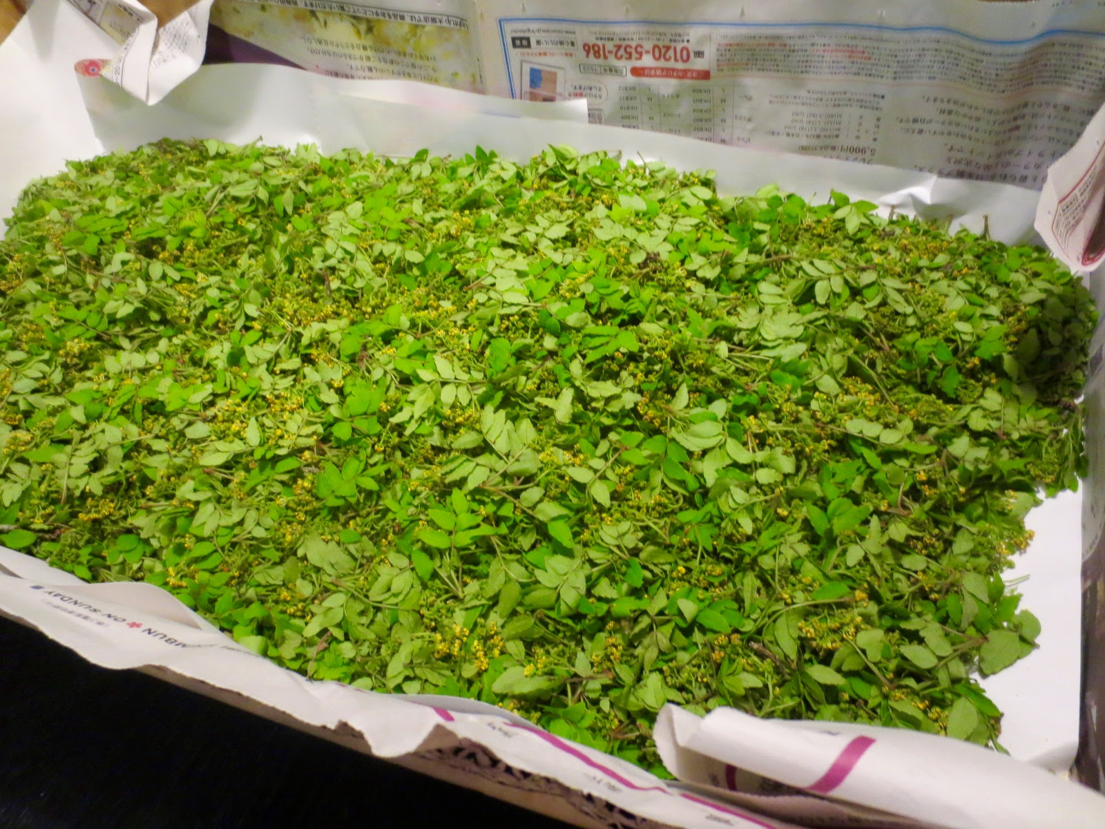花山椒佃煮 自家製