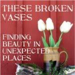 These Broken Vases
