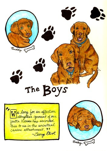 Shannon's Boys in Color