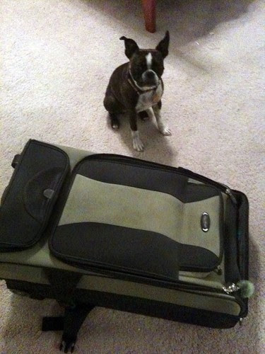 packing