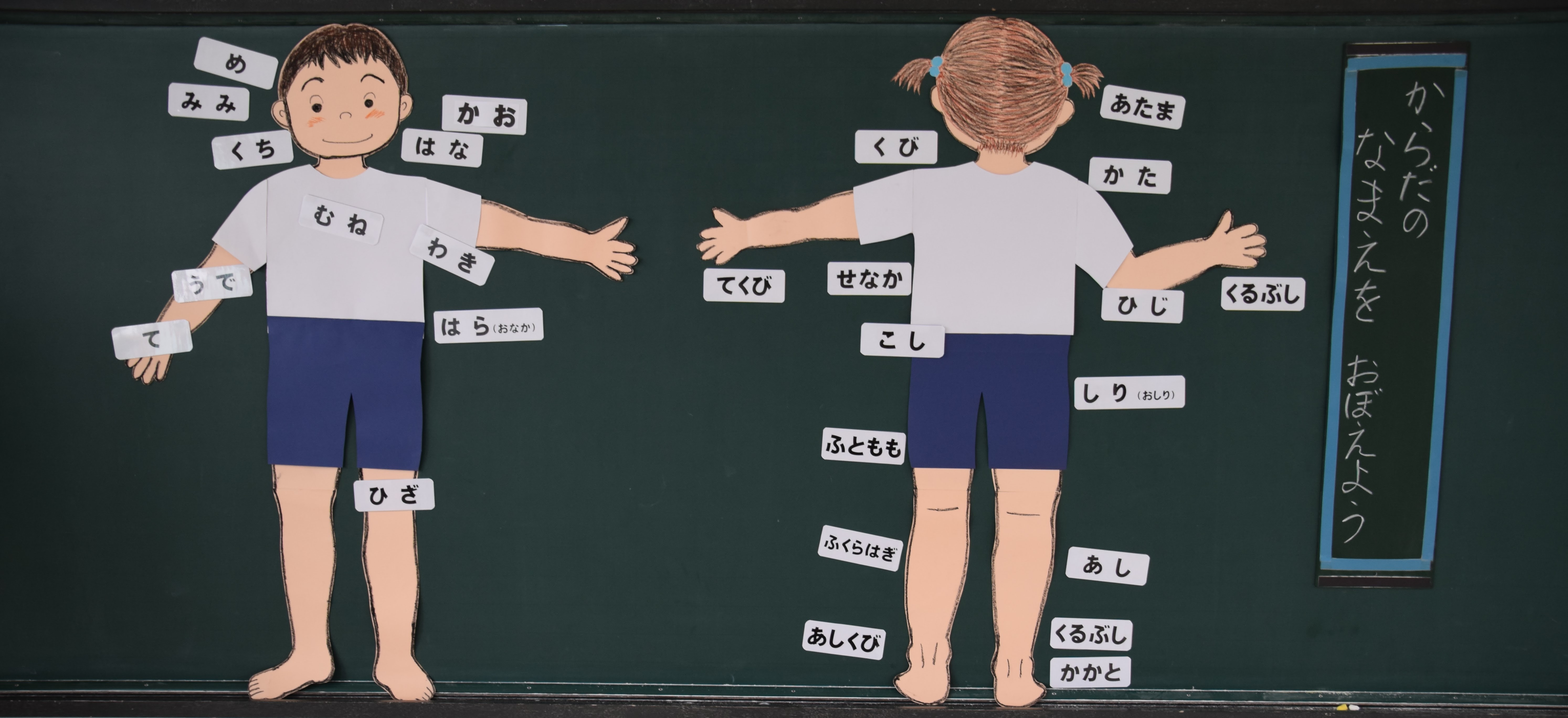 4月の保健指導 南種子町立平山小学校のブログ