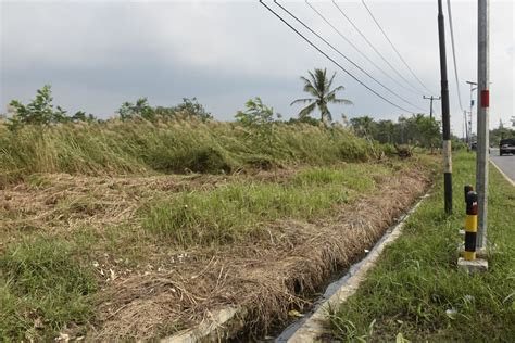 site visit jalan tol serang panimbang kppip