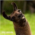 I Got This Meme : Wat? by whyinohavegoodcreativity - Meme Center / Like 4chan found a bloomberg terminal