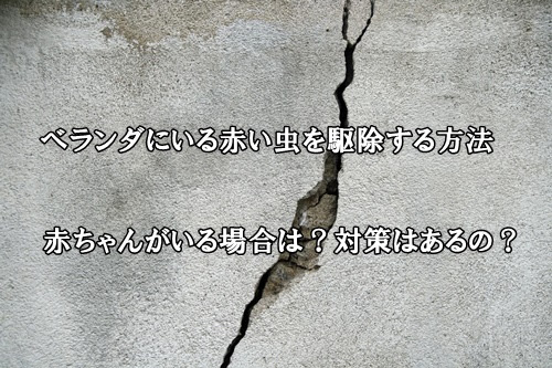 ベランダにいる赤い虫を駆除する方法 赤ちゃんがいる場合は 対策は