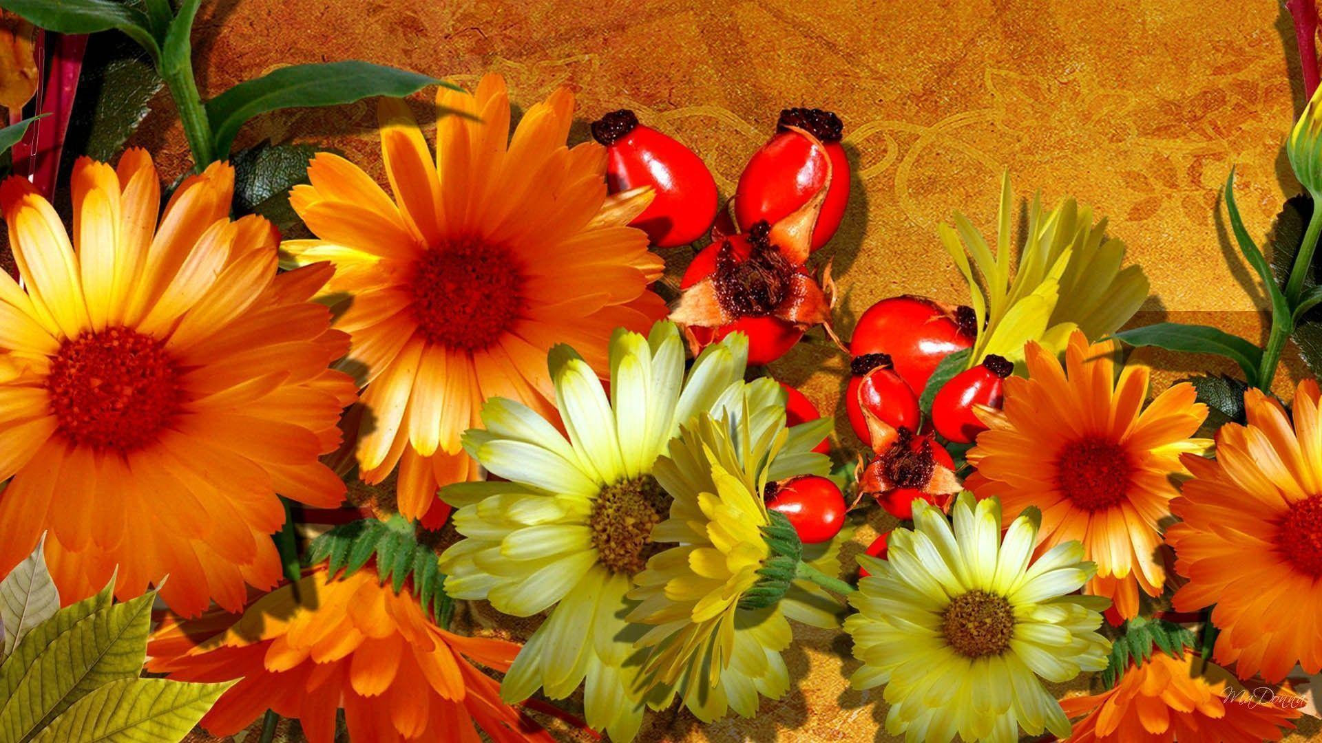 Beautiful Fall Flowers Wallpaper (50+ images)