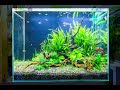200以上 水槽 レイアウト 三角 構図 388461-水槽台 自作 90cm 設計図