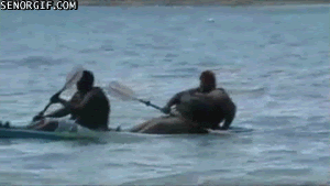 rowing-fail