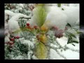 Sevastopol. Winter. (Joe Hisaishi )