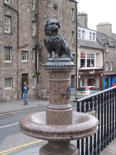 Greyfriar Bobby (3)