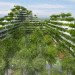 Vo Trong Nghia, Vo Trong Nghia Architects, FPT University campus by Vo Trong Nghia Architects, FPT University Campus Ho Chi Minh City, Ho Chi Minh, Vietnam, campus building, green campus, green campus Vietnam,