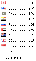 visitors by country counter