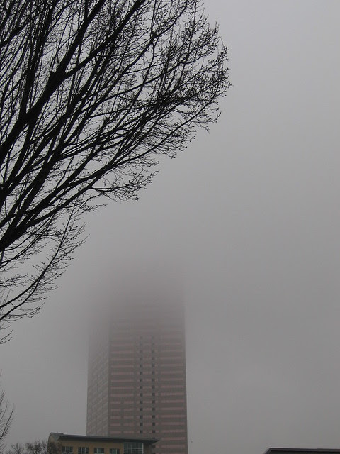 fog_usbb