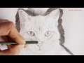 [10000 impressions √] tête de chat dessin simple 527499-Tete de chat dessin simple