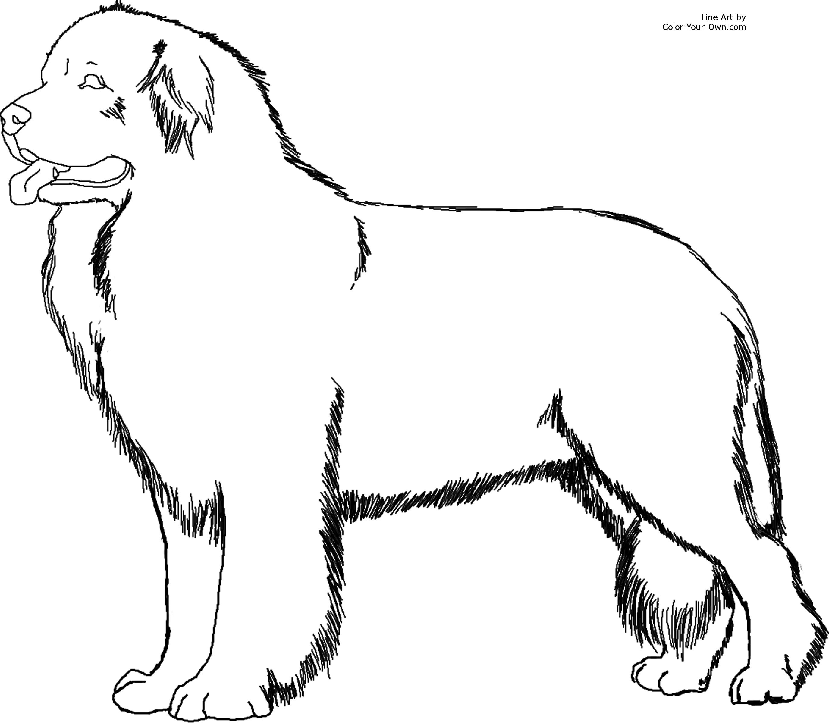 printable size Here · Return to the coloring pages index